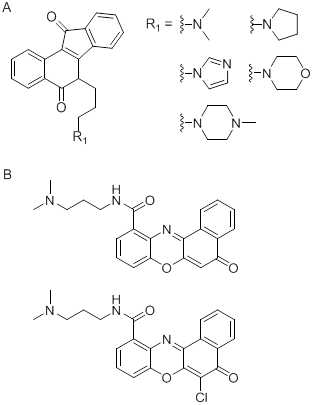 Int J Biol Sci Image