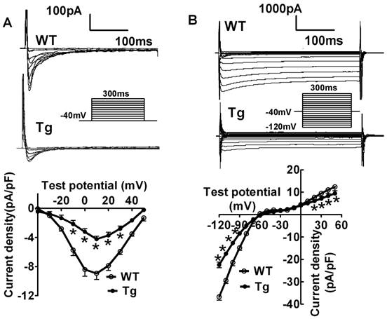 Int J Biol Sci Image