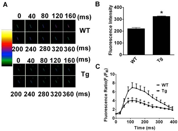 Int J Biol Sci Image