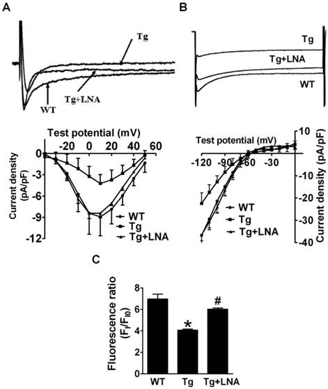 Int J Biol Sci Image