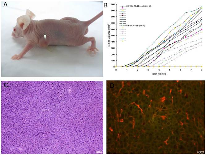 Int J Biol Sci Image