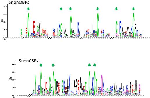Int J Biol Sci Image
