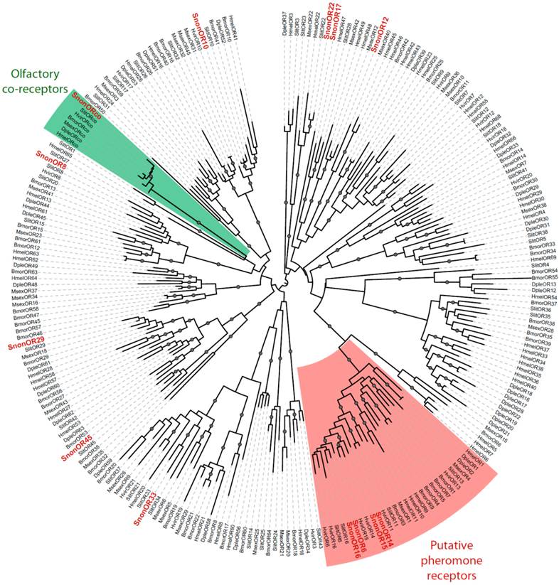 Int J Biol Sci Image