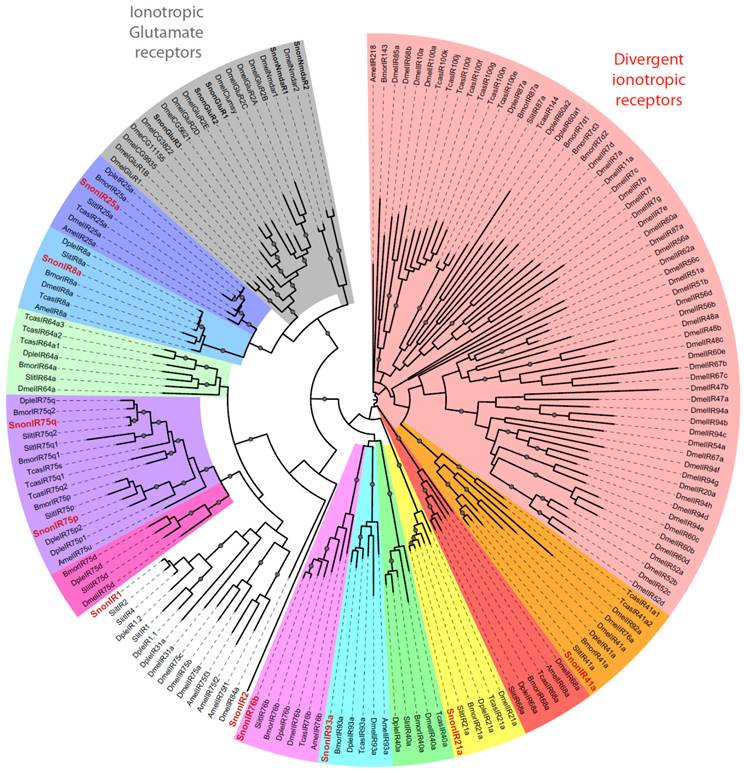 Int J Biol Sci Image