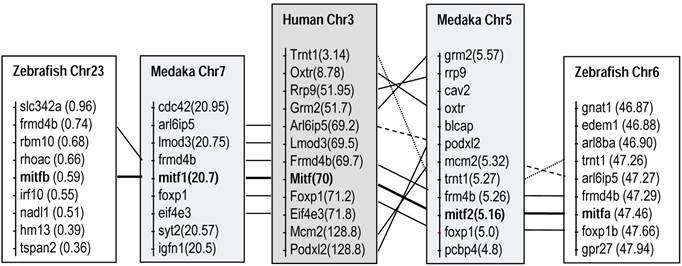 Int J Biol Sci Image