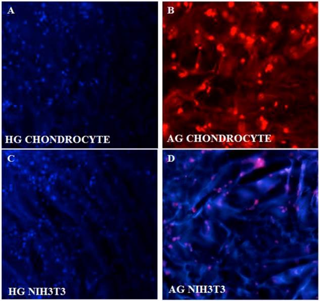 Int J Biol Sci Image