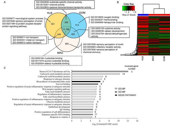 Int J Biol Sci Image