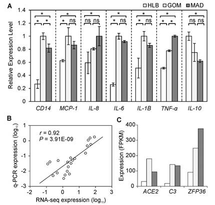 Int J Biol Sci Image