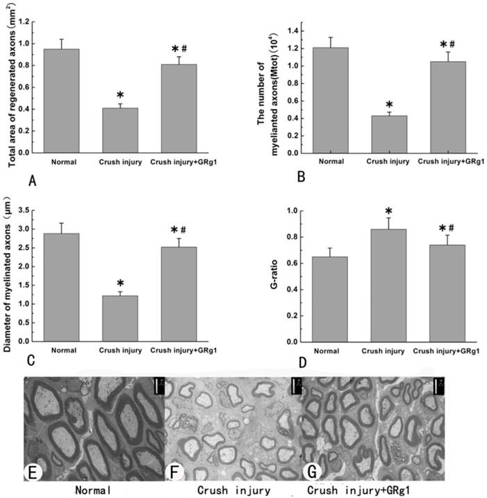 Int J Biol Sci Image