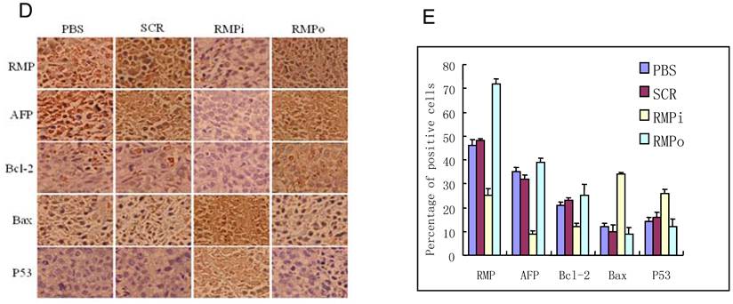 Int J Biol Sci Image