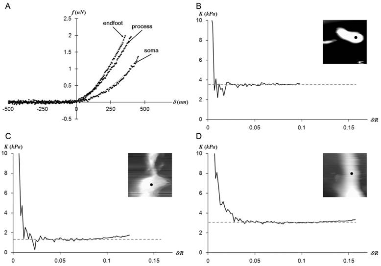 Int J Biol Sci Image