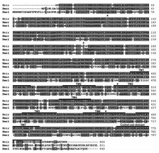 Int J Biol Sci Image