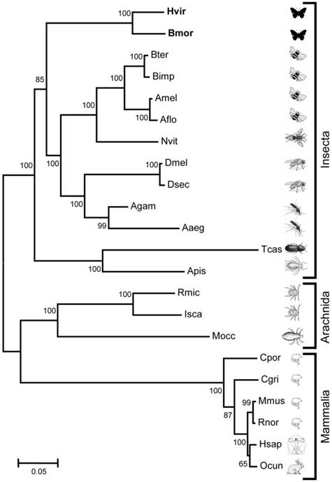 Int J Biol Sci Image