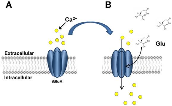 Int J Biol Sci Image