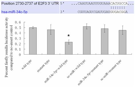 Int J Biol Sci Image