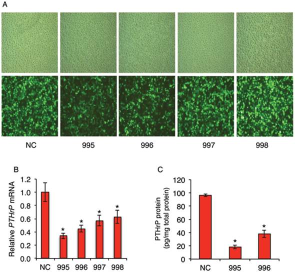 Int J Biol Sci Image