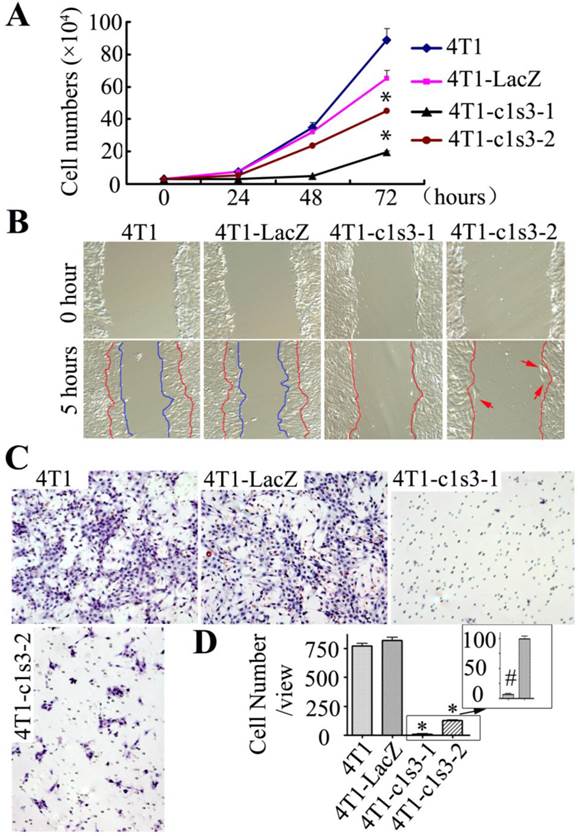 Int J Biol Sci Image