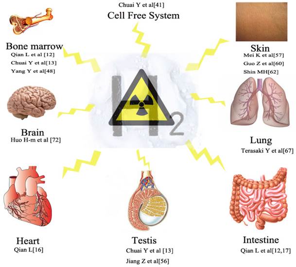 Int J Biol Sci Image