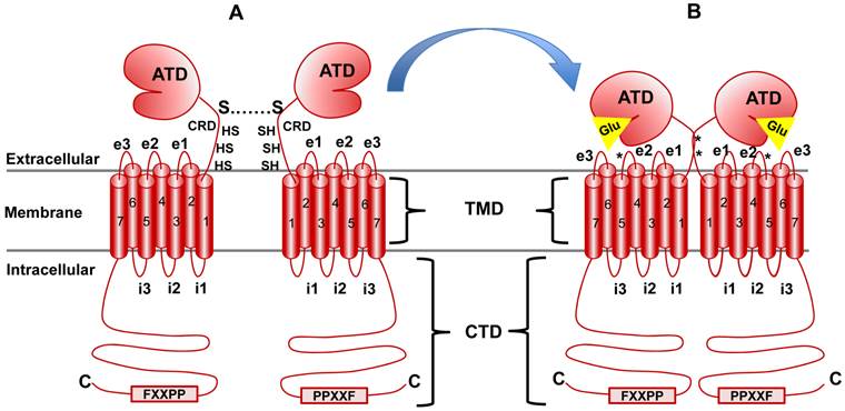 Int J Biol Sci Image