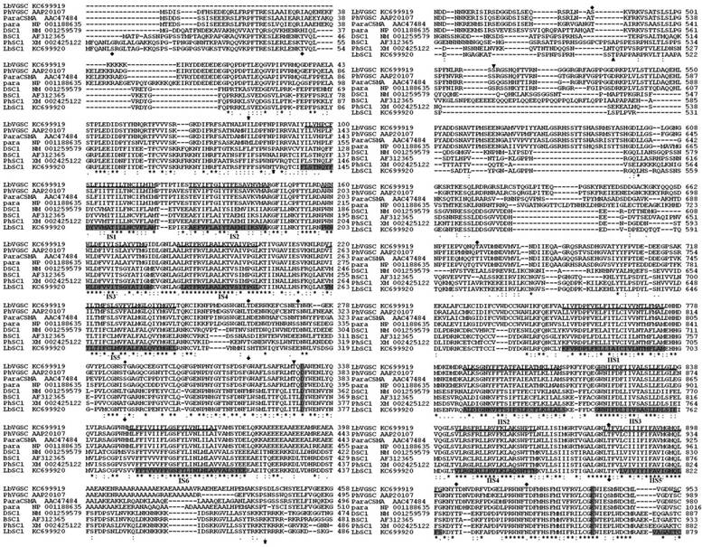 Int J Biol Sci Image