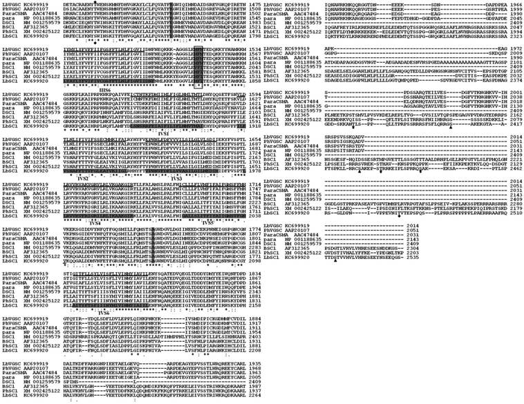 Int J Biol Sci Image