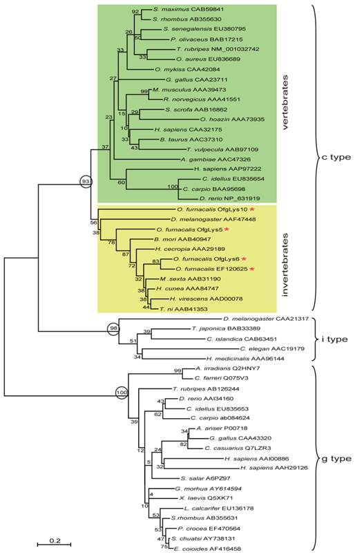 Int J Biol Sci Image