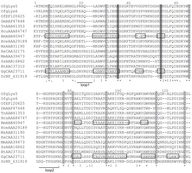 Int J Biol Sci Image