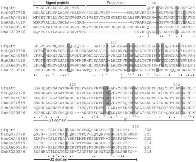 Int J Biol Sci Image