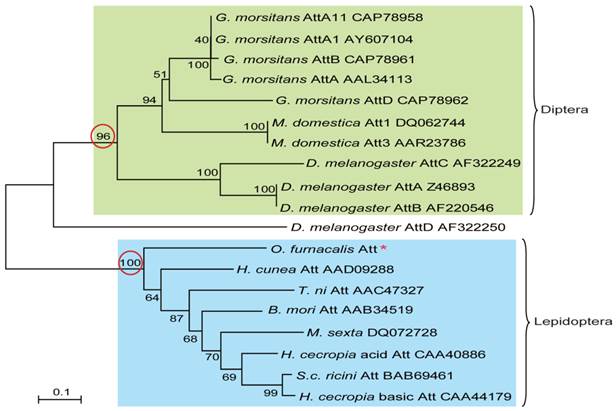 Int J Biol Sci Image