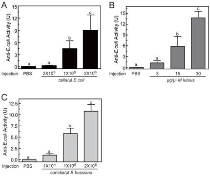 Int J Biol Sci Image