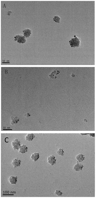 Int J Biol Sci Image