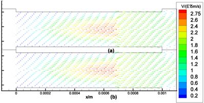 Int J Biol Sci Image