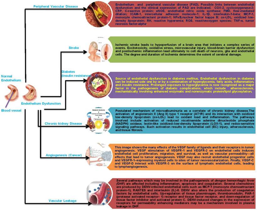 Int J Biol Sci Image