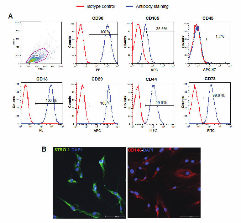 Int J Biol Sci Image