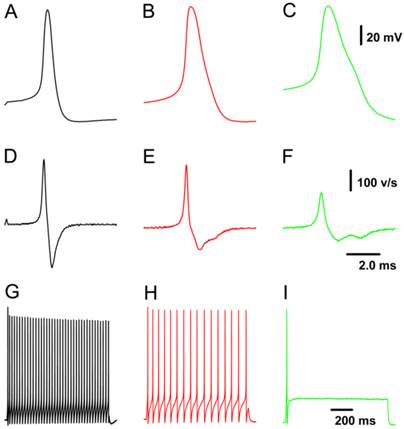 Int J Biol Sci Image