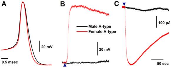 Int J Biol Sci Image