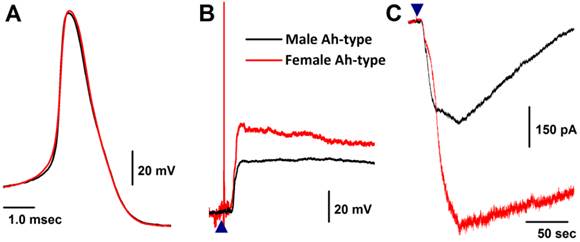 Int J Biol Sci Image