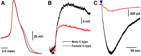 Int J Biol Sci Image