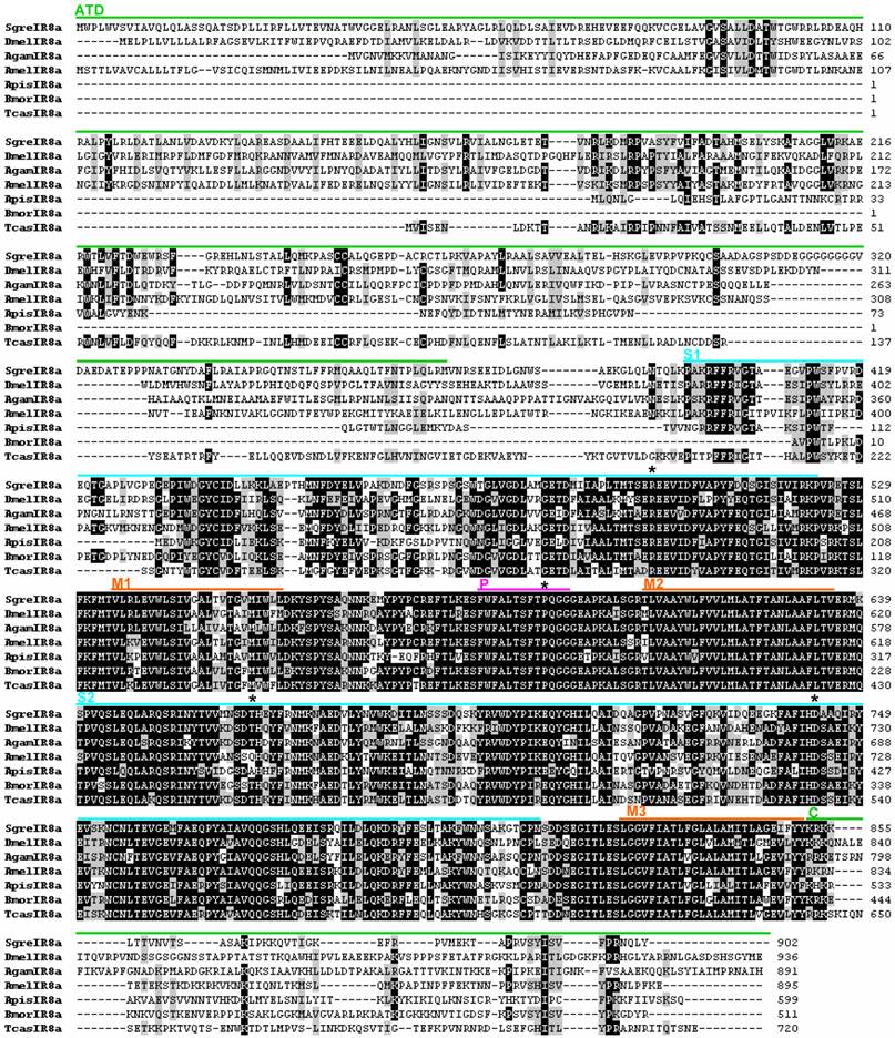 Int J Biol Sci Image