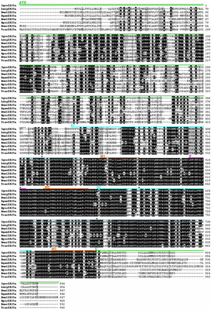 Int J Biol Sci Image