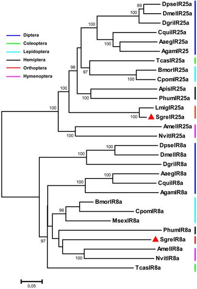 Int J Biol Sci Image