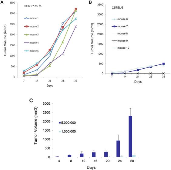 Int J Biol Sci Image