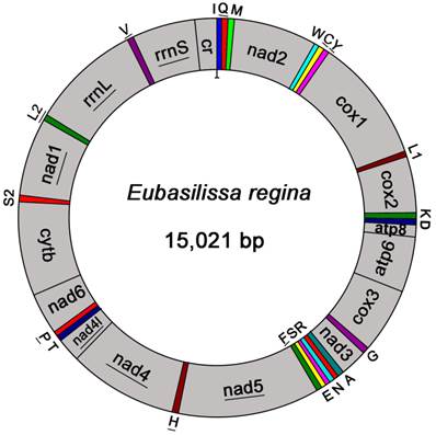 Int J Biol Sci Image