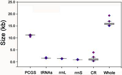 Int J Biol Sci Image