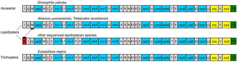 Int J Biol Sci Image