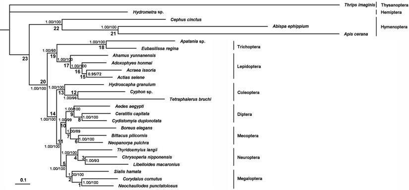 Int J Biol Sci Image