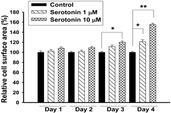 Int J Biol Sci Image