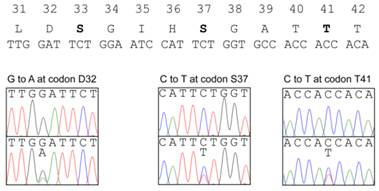 Int J Biol Sci Image