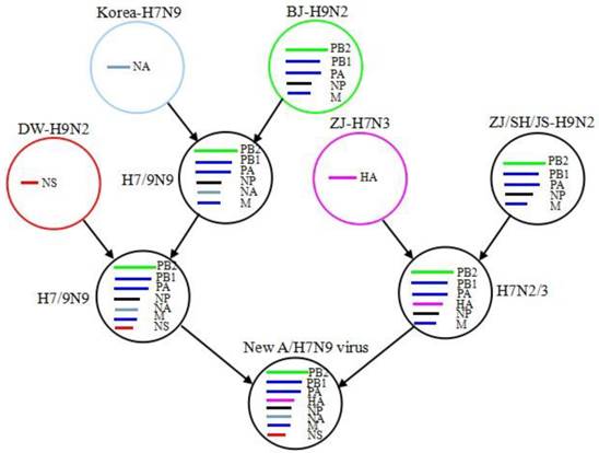 Int J Biol Sci Image