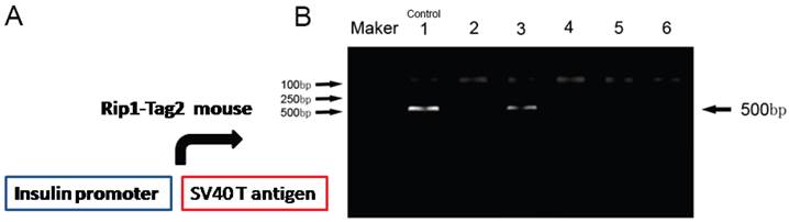 Int J Biol Sci Image